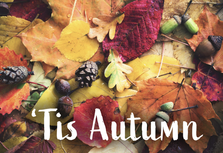 Screenshot 2025 09 22 at 7 28 43 AM